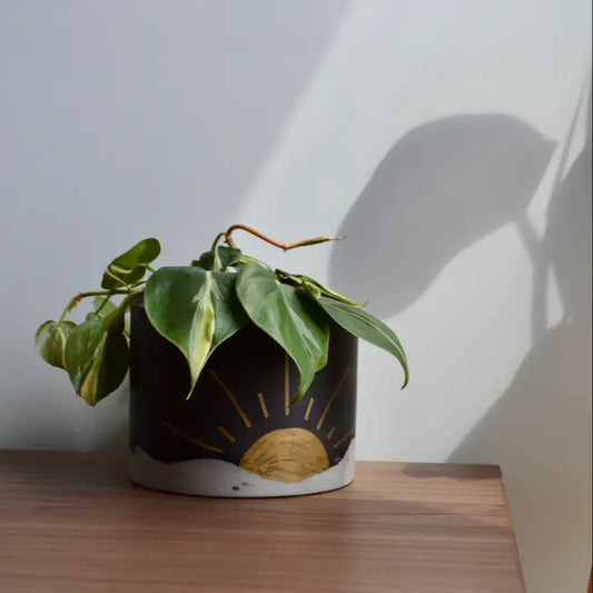 Charcoal Gold Sun Planter